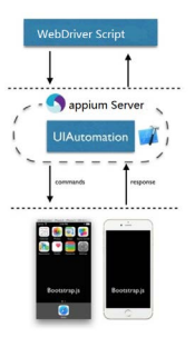 Selenium和appium简介_chrome_03