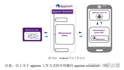 Selenium和appium简介_chrome_04