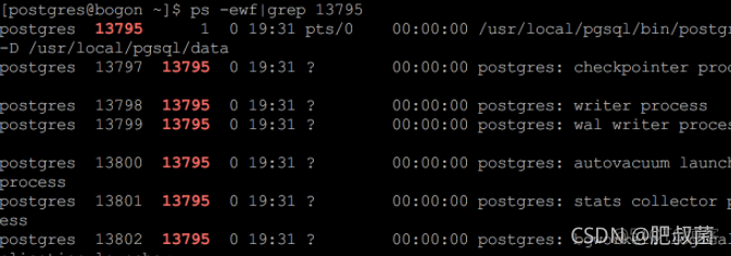 PG守护进程（Postmaster）——主进程文件postmaster.pid_database_02