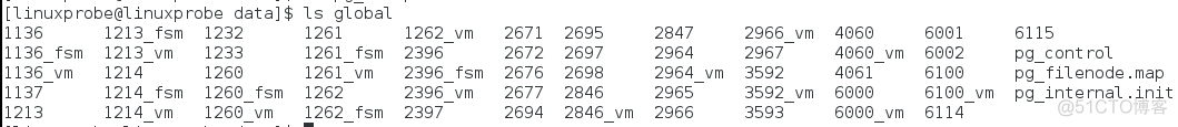 PostgreSQL数据库集簇_postgresql_24