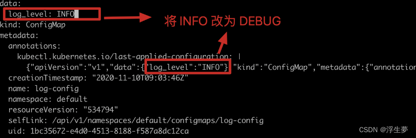 Configmap配置与Secret加密_docker_03