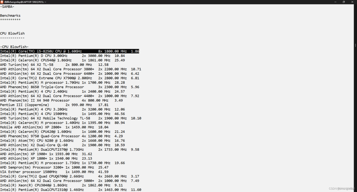 WSL和双系统Ubuntu的CPU性能差异_WSL_02