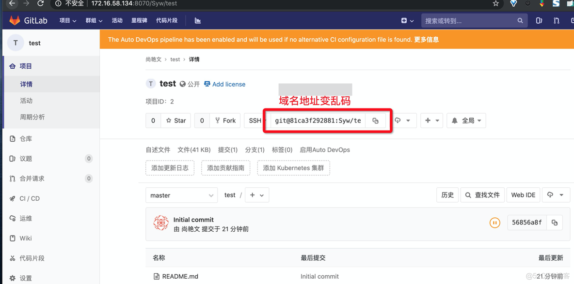 Gitlab 克隆项目时IP地址不一致的问题处理_git