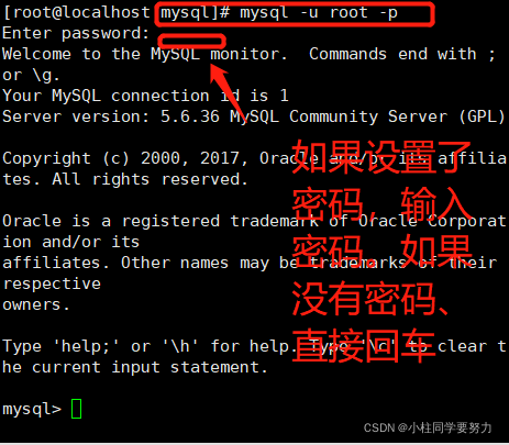 Linux学习记录---（1、基本命令）_mysql_19