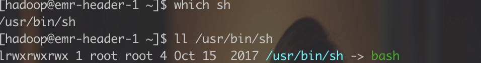 syntax error near unexpected token `(‘ 异常解决_bash_03