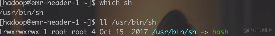 syntax error near unexpected token `(‘ 异常解决_bash_03