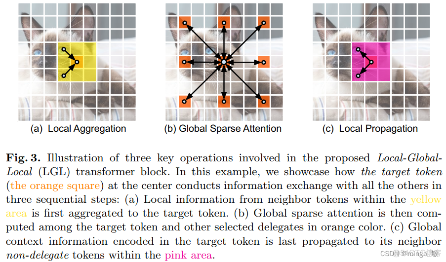 深度学习论文: EdgeViTs: Competing Light-weight CNNs on Mobile Devices with Vision Transformers及其PyTorch实现_深度学习_02