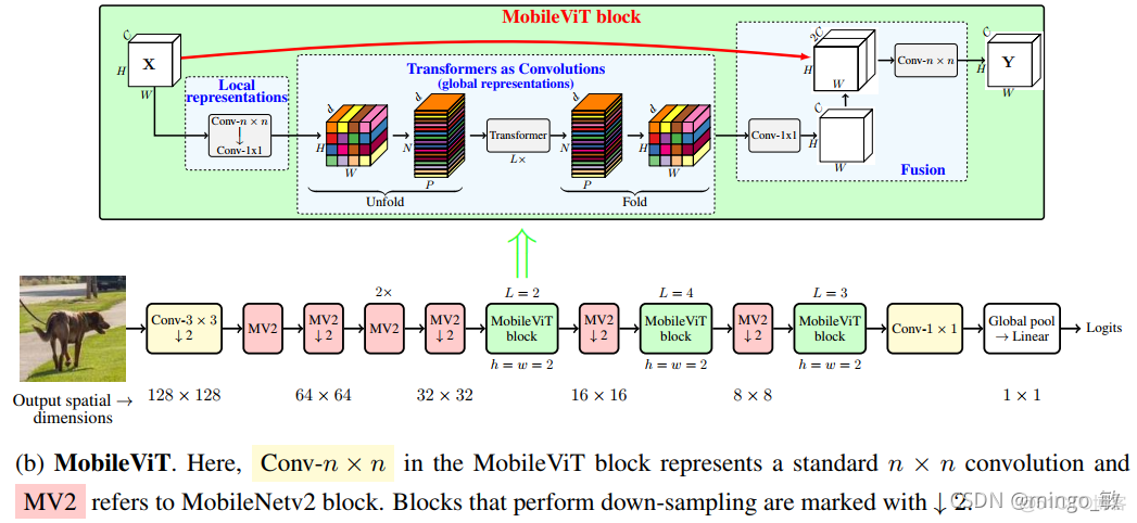 深度学习论文: MobileViT: Light-weight, General-purpose, and Mobile-friendly Vision Transformer及其PyTorch实现_ide_03