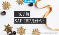一文了解SAP IBP是什么？