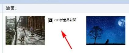 【CSS】759- 图片加载失败后CSS样式处理最佳实践_图片加载_05