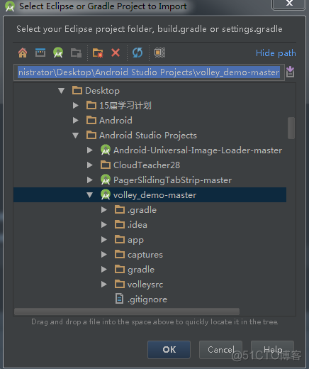 Android Studio导入github下载的工程_android studio_03