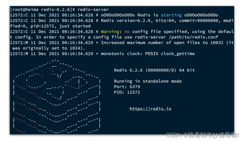 【Redis】初识 Redis_nosql_13