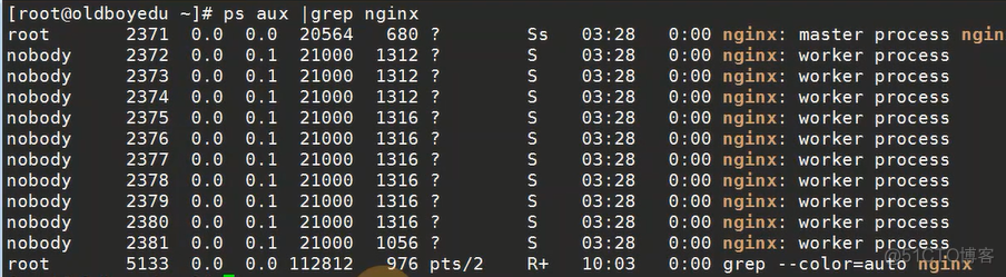 linux系统管理-进程管理 pstree  ps  pgrep pidof_nginx_07