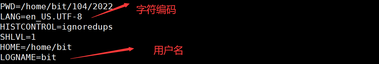 环境变量与进程地址空间理解_地址空间_26