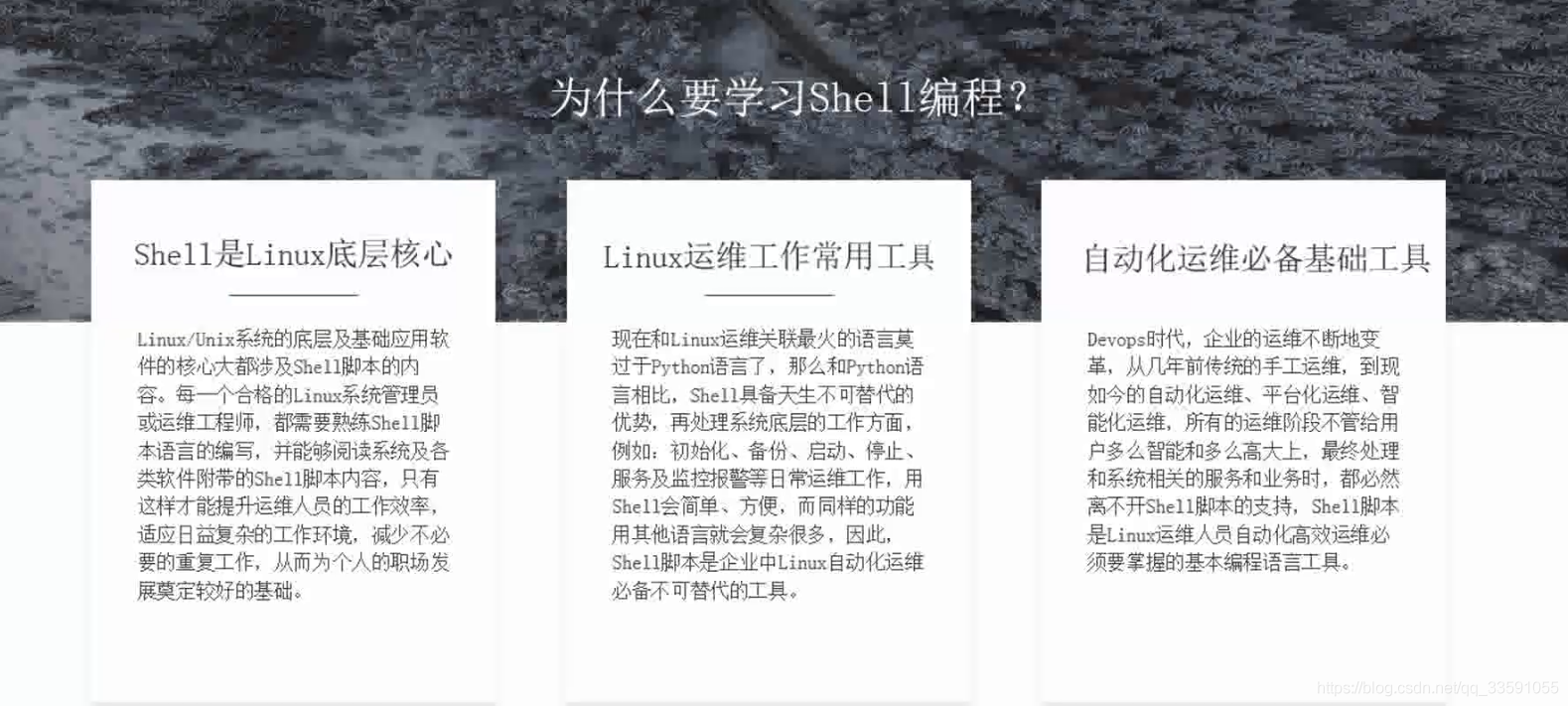 Linux中高级运维 第51天 Shell编程 第1章 Shell脚本编程基础 51cto博客 Linux运维常用shell脚本