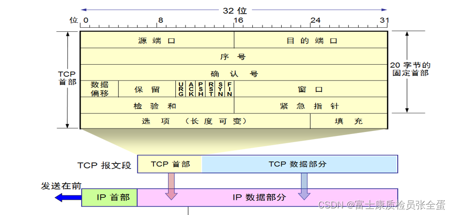 传输层 传输层协议和应用层协议之间的关系_服务器_02