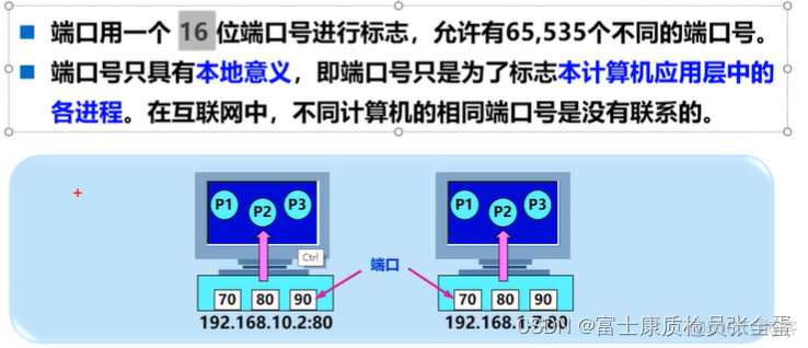 传输层 传输层协议和应用层协议之间的关系_端口号_03