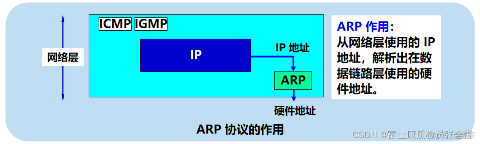 网络层 ARP地址解析协议_网络协议_02