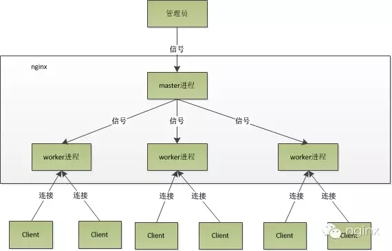 Nginx 多进程模型_多进程_04