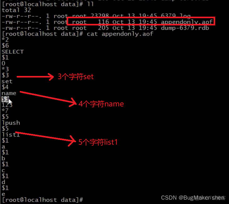 Redis AOF持久化_数据_05
