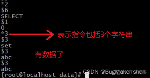 Redis AOF持久化_database_09