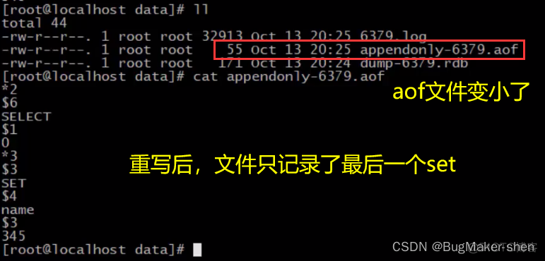 Redis AOF持久化_持久化_16