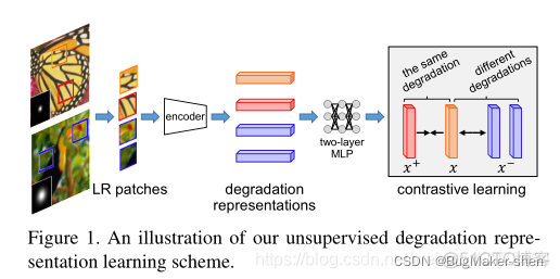 Unsupervised Degradation Representation Learning for Blind Super-Resolution（基于无监督退化表示学习的盲超分辨率处理）_迭代_02