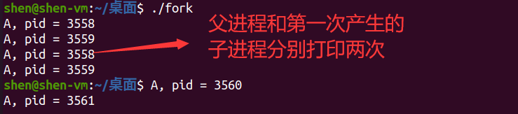 Linux 多进程编程fork_数据_13