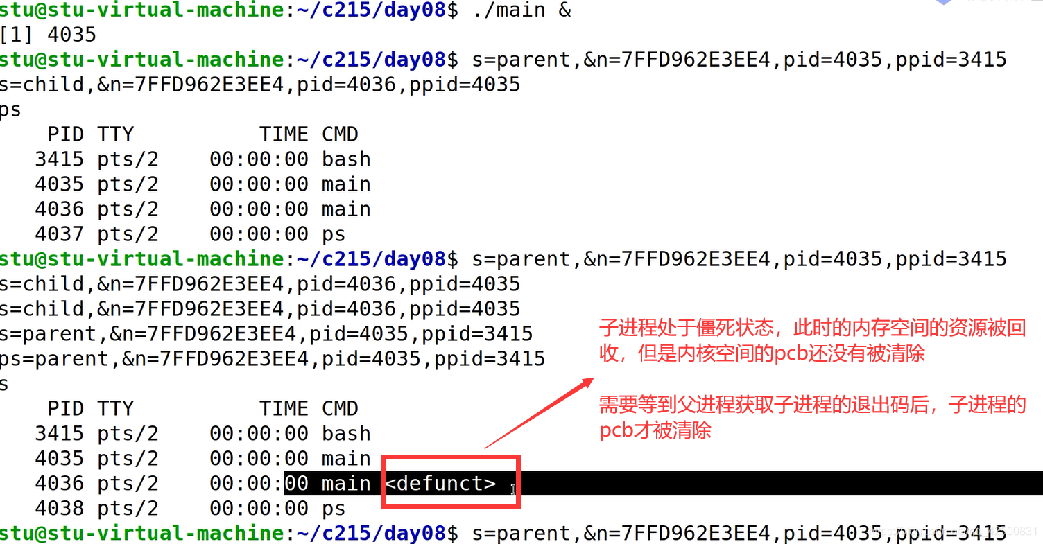 Linux 多进程编程fork_linux_19