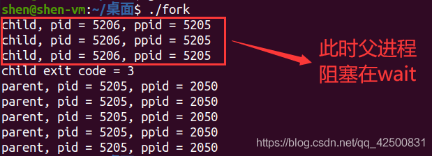 Linux 多进程编程fork_linux_22