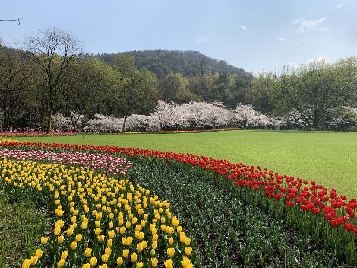 杭州五大湖风景名胜区_湘湖_10