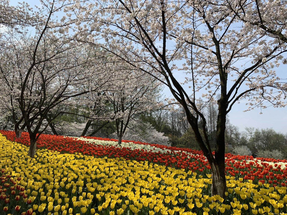 杭州五大湖风景名胜区_杭州五大湖_13