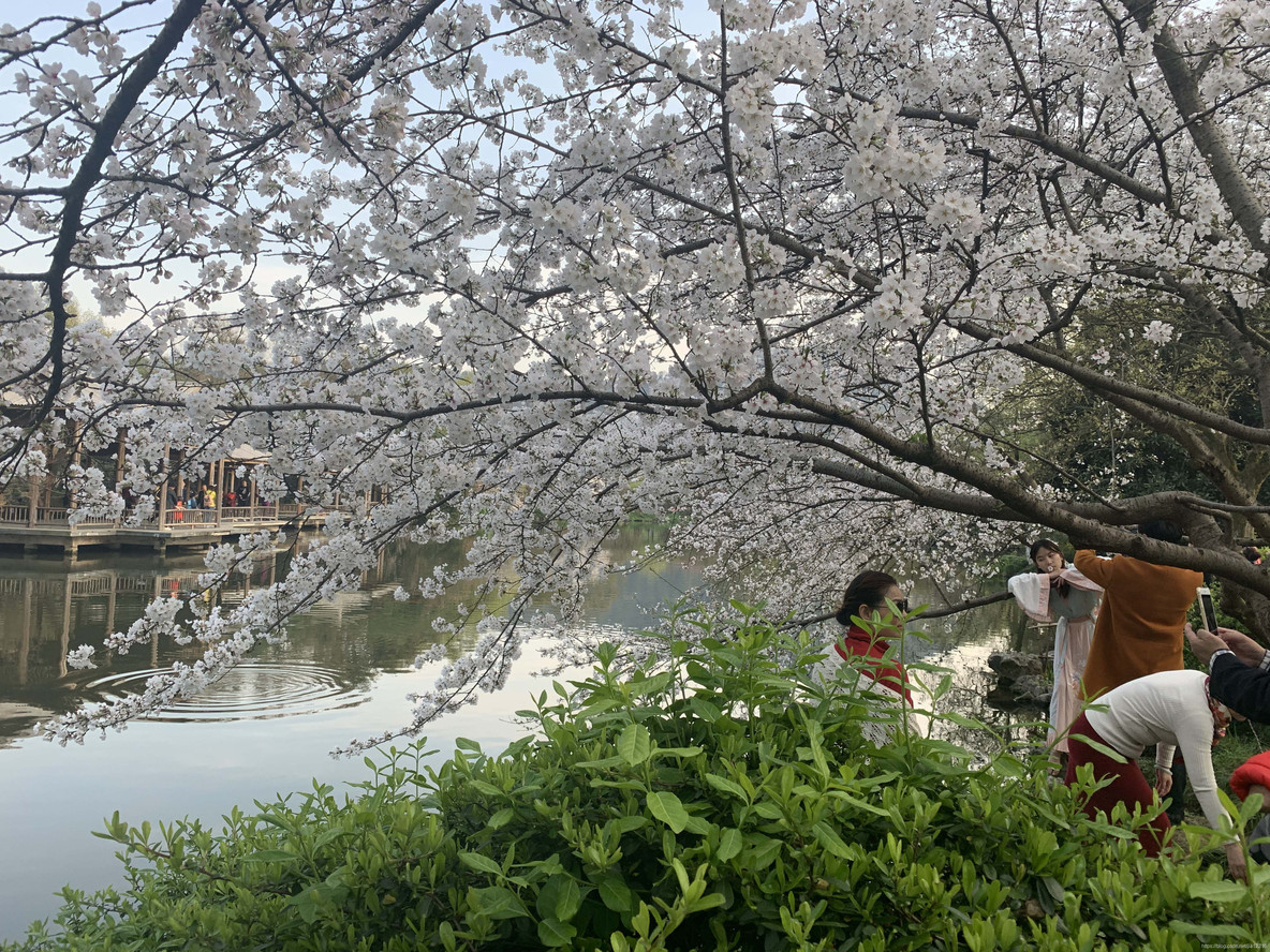 杭州五大湖风景名胜区_湘湖_17