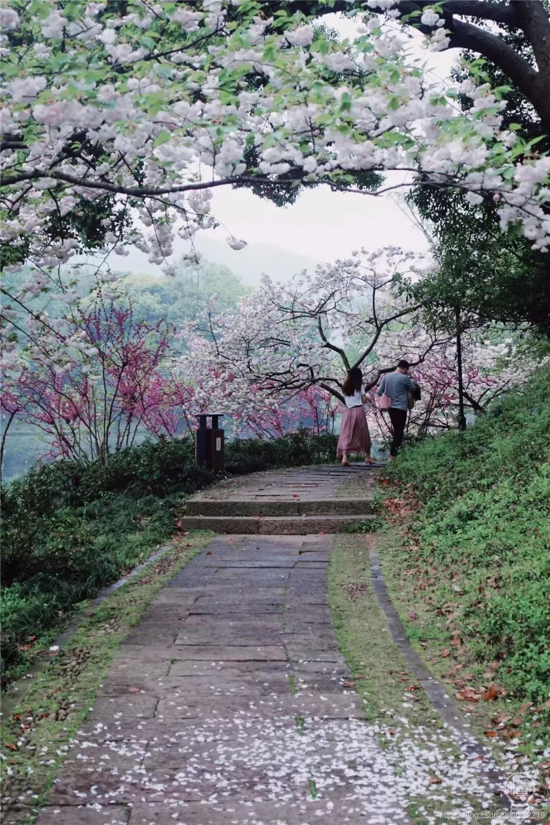 杭州五大湖风景名胜区_西湖_18