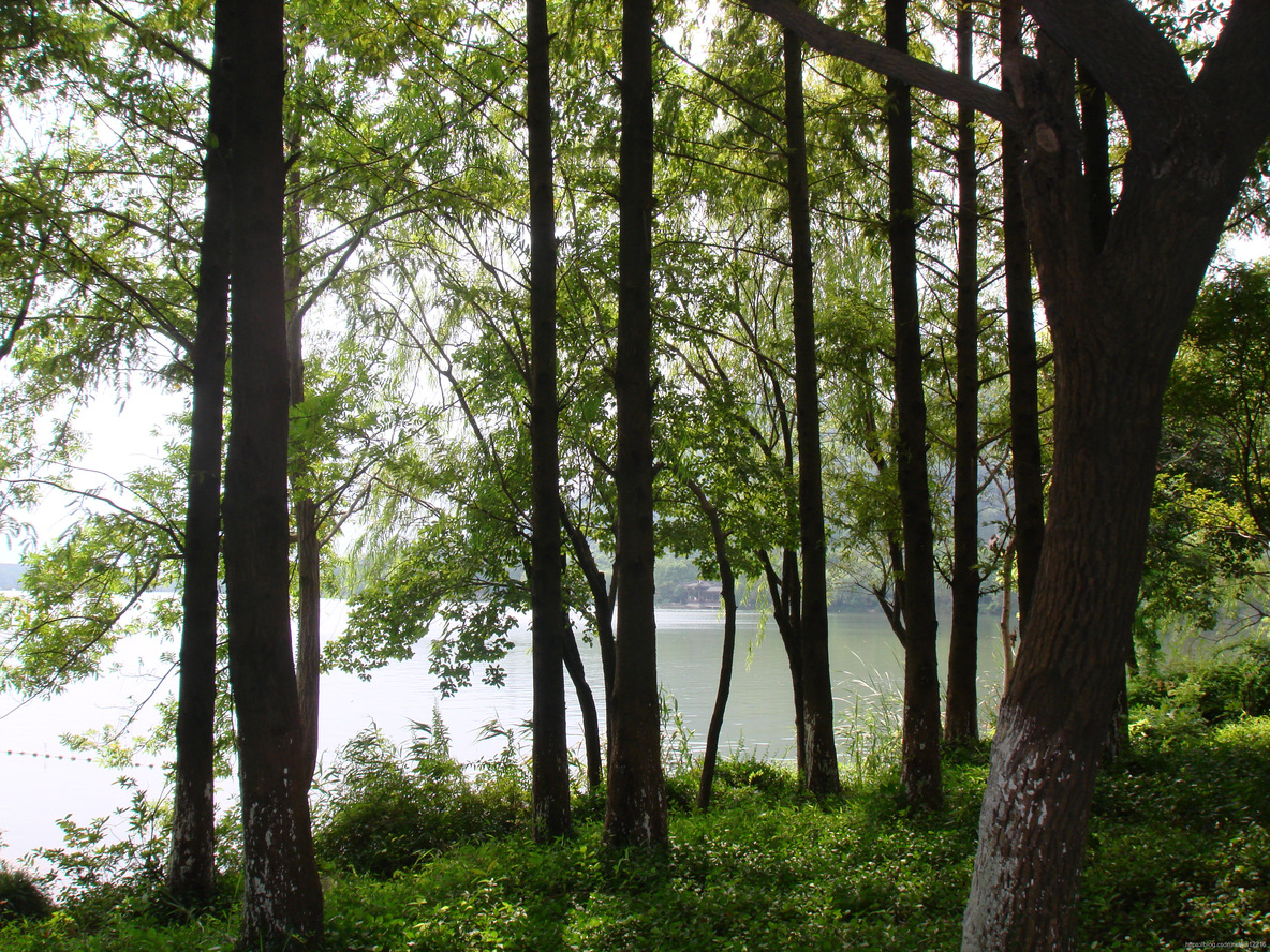 杭州五大湖风景名胜区_青山湖_24