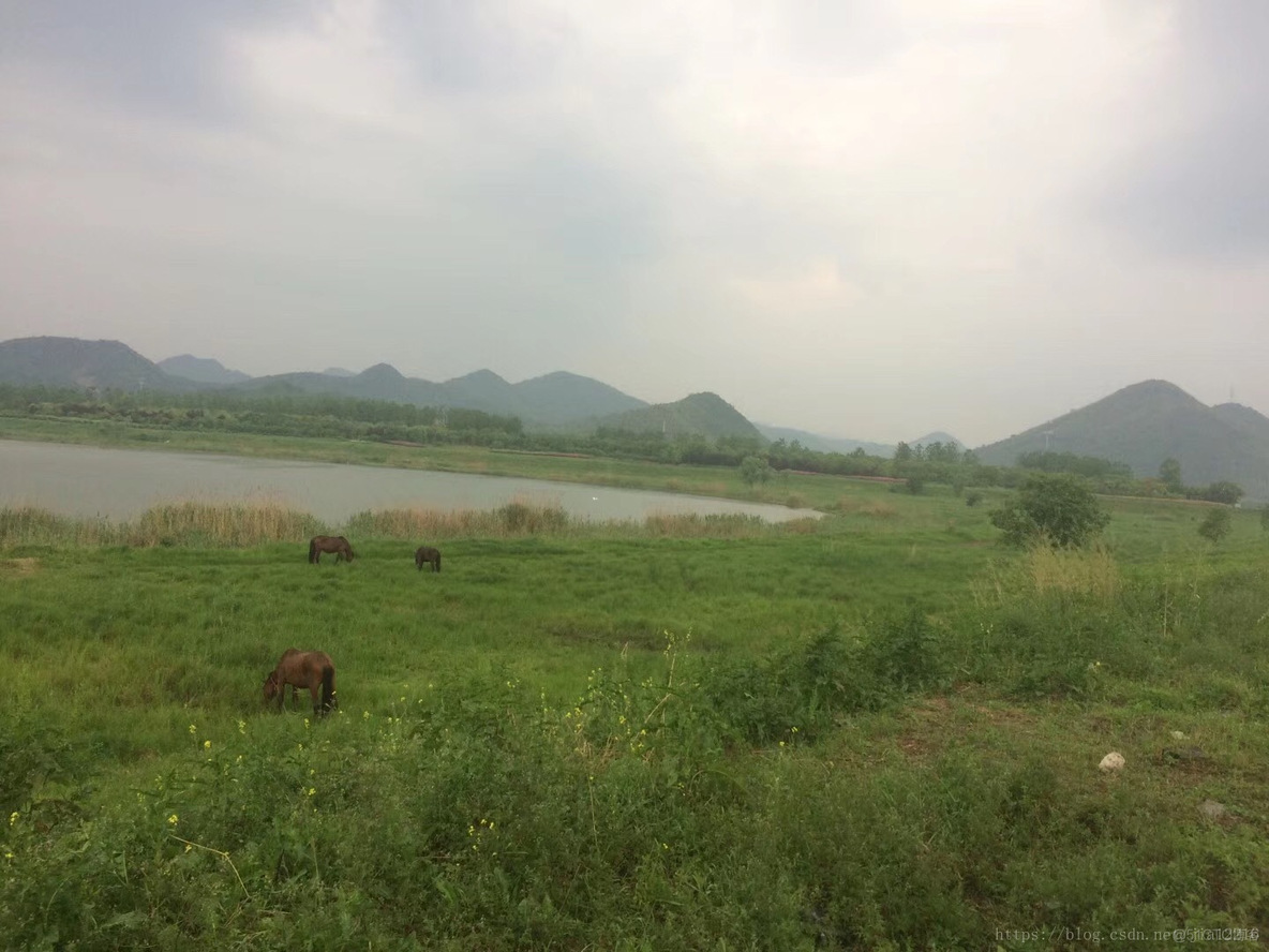 杭州五大湖风景名胜区_湘湖_36