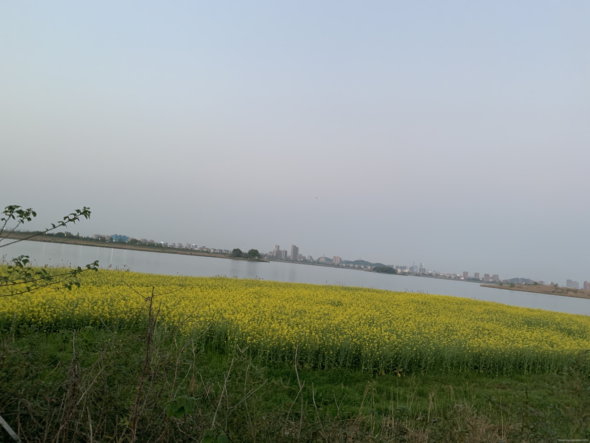 杭州五大湖风景名胜区_杭州五大湖_40