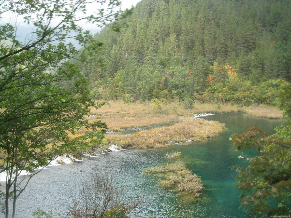 程序猿攀登的高峰：九寨沟、黄山、华山、泰山、普陀山、云台山_之字形_07