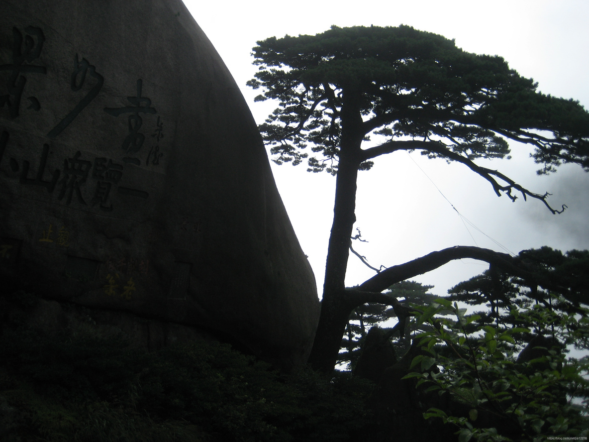 程序猿攀登的高峰：九寨沟、黄山、华山、泰山、普陀山、云台山_程序人生_56