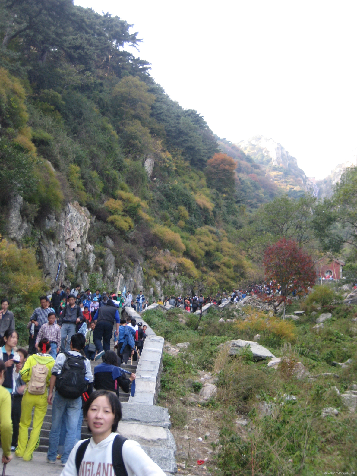 程序猿攀登的高峰：九寨沟、黄山、华山、泰山、普陀山、云台山_程序人生_100