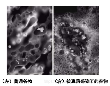 图像处理学期总结1_图像处理_33