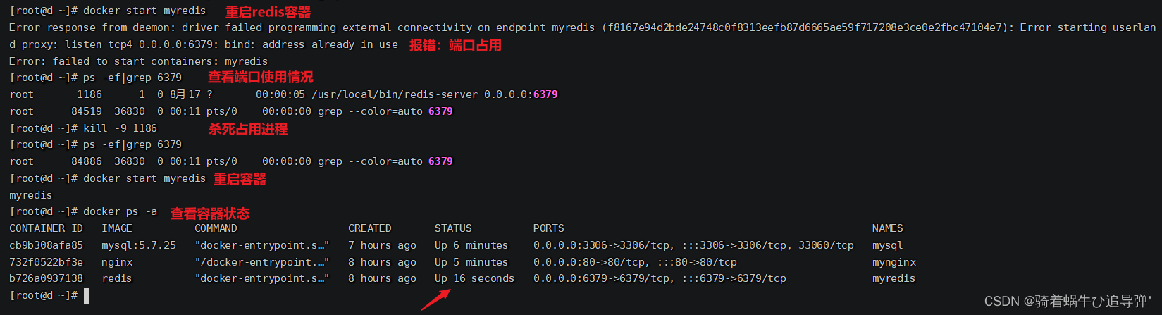 What Is Docker Userland Proxy