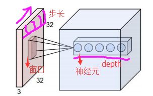 CNN笔记：通俗理解卷积神经网络【转】_权重_28