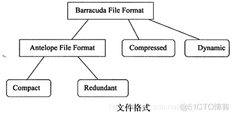 MySQL(InnoDB剖析):18---table之（Named File Formats机制）_数据结构