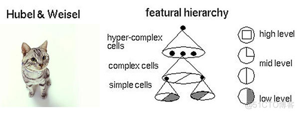 简单理解：ML、DB、NLP_神经网络_08