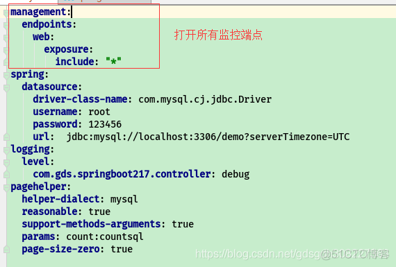 Springboot(2.1.1)（1.5.21）配置监控_git_03