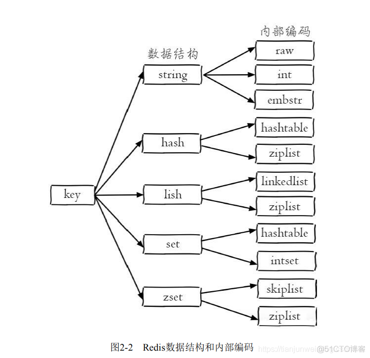 redis数据类型介绍_跳跃表