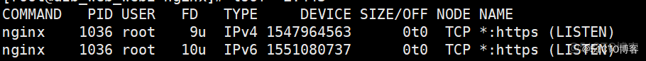 记录一次nginx升级,支持ipv4和ipv6访问https_https_02