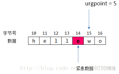 23-TCP 协议（紧急标志）_urg_02