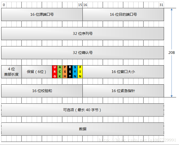 6-TCP 协议（序号和确认号）_tcp